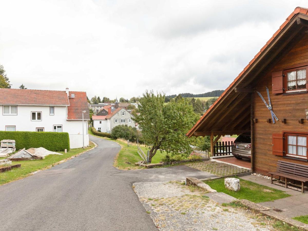 Chalet In Hinterrod Thuringia With Sauna Eisfeld Extérieur photo